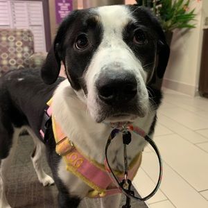 Meet your Posher, Madelynn